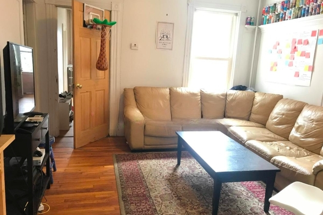 - - Right Close to Campus! 4 bed w/ Laundry & Parking Apartments