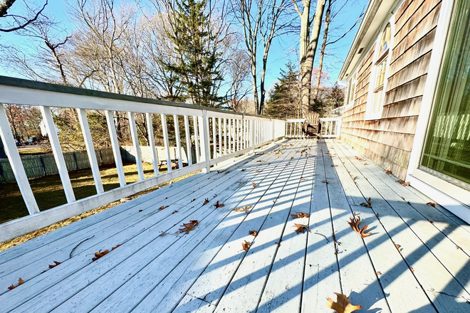 upper back deck - Best Of Both Worlds - Close to Campus and the Beach! House
