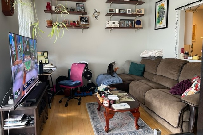 a - Nice 1 bedroom Apartments