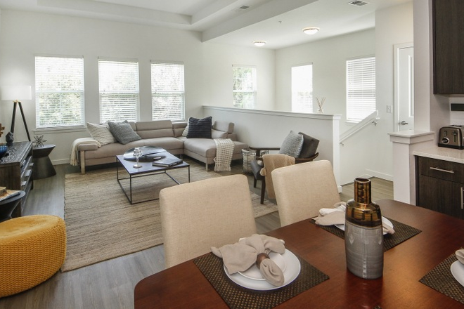 Living Room - East at Innovation Apartments