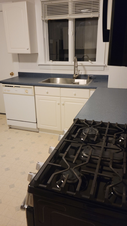 Kitchen-1 - Belmont - Sunny 2 Bedroom Apartment, 1 block from bus line, 3 blocks from Commuter Rail, Modern Kit.