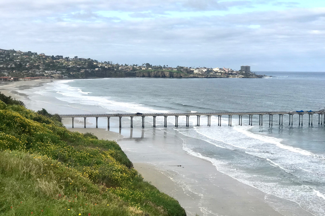 On the walk to the beach, a view of Scripps Pier and La Jolla Shores. - Private Room, Private Bath in La Jolla Home  5 min Walk to UCSD, close to Beach, SIO