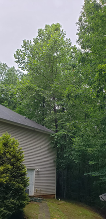 Entry - $585-$650 bedroom with utilities