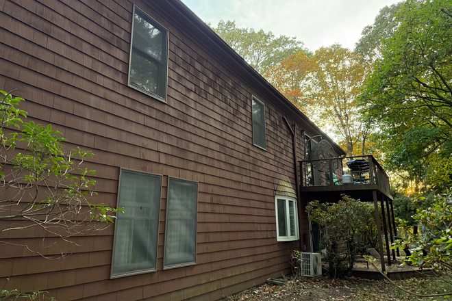 Back yard - Ideal for responsible graduate student or professional - walk to campus