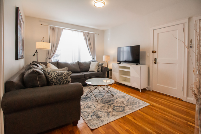 Living Room - KEN1914 Renovated, Sunny 2-Bed in Longwood Medical Area Apartments