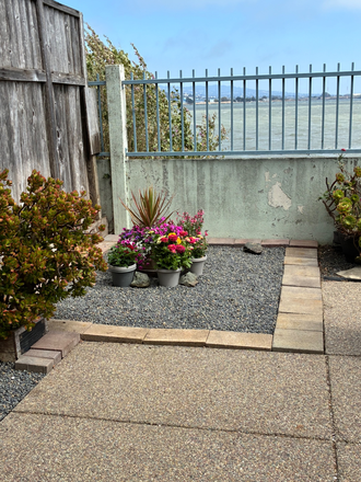 Backyard with great SF views - Beautiful Bay View Home
