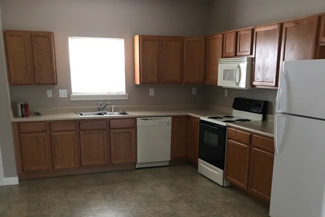 Kitchen (Shared) - Large house for rent - Shared with other Professional tenants
