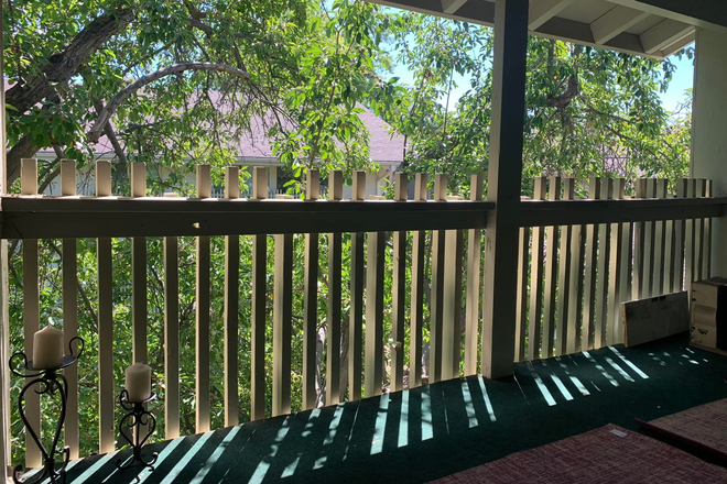 Porch with views to the  pool and backyard - Two Mile Creek, 1 Bedroom (top floor apartment),  1 mile to Pearl St. /Pool/steps to Rayback Col