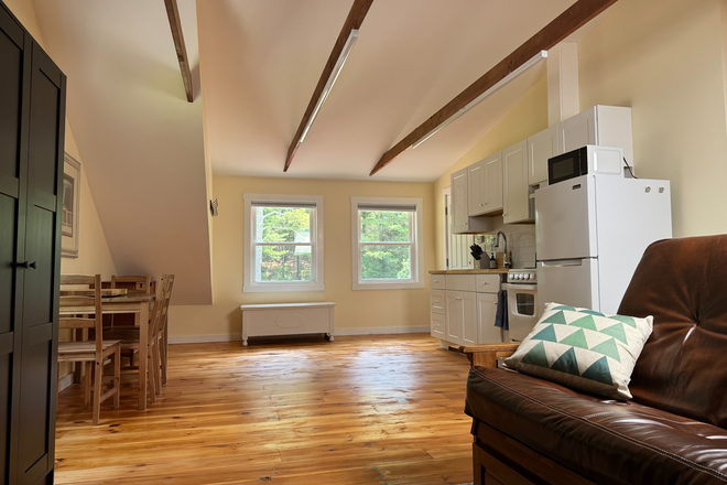Kitchen from living room. Open Concept - Fully Furnished Studio, 5 Miles from Campus!