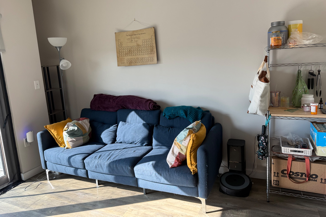 Living Room - Roommate needed in modern 2-bed-1-bath, Central Square, Jul 1 move-in Apartments