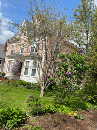 exterior of the house in the summer - Hillside Avenue, Arlington, floor in Victorian home