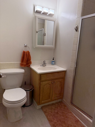 bathroom for master bedroom - Spacious Bedroom Available for Rent  - Near USF Apartments