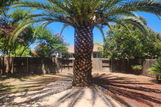 Backyard 1 - A beautiful 4 bedrooms and 2.5 bathrooms home in north Merced