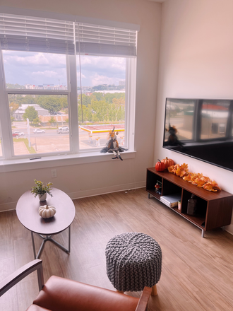 love seat to the left not pictured (see video) - 1 BR/BA in a 2 BR/BA Apartment at The Marshall