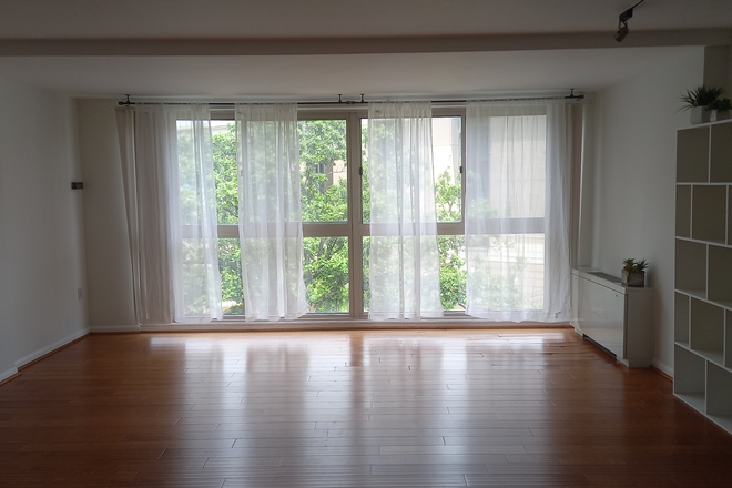 Amazing top floor view of huge tree - Short term available Partially Furnished 500sqft Across GW/Foggy Bottom Metro All Utilities Include Apartments