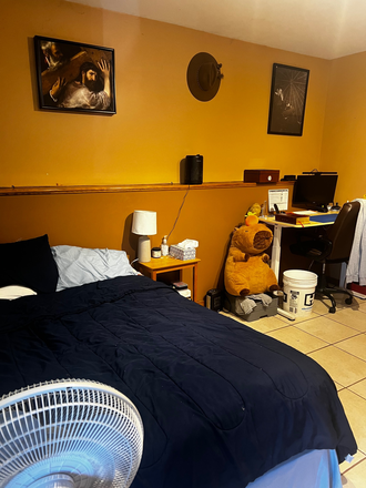 Photo - Studio apartment