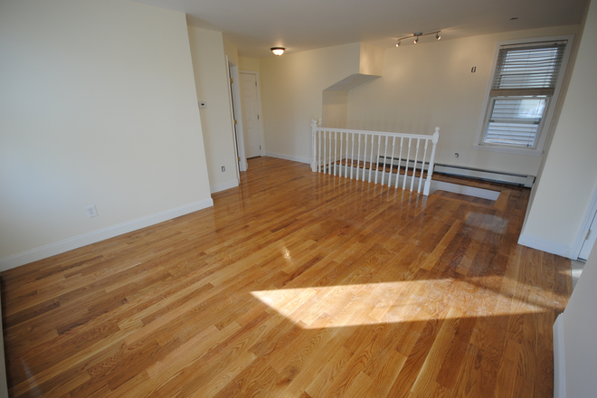 3 - Sept 2026, Amazing 3 bed/1bath,  Cats Friendly, No Fee Apartments