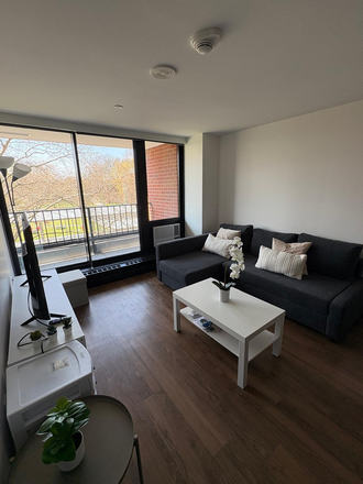 Living room & View - Fully Furnished & Renovated 1 Bed / 1 Bath in Soldiers Field Park (SFP) 2