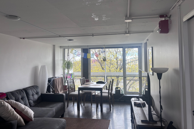 Living Room - Peabody Terrace Apartments