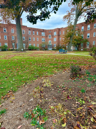 Photo - Clifton Cove Apartments