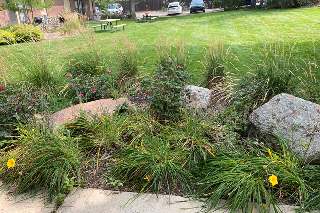 Landscaping - University Heights Apartments, DIRECTLY across from Folsom Field