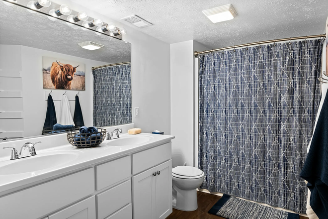 Bathroom - Summer Sublease – 1 Bedroom in 4 Bed/2 Bath at Village West Apartments