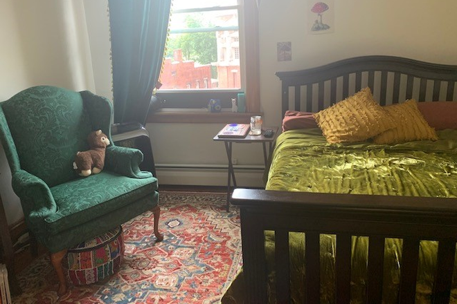 bedroom and living room - Center of Amherst, gleaming hdwd flrs, high ceilings, skylight, 1 bedroom, 7/1/27 Apartments