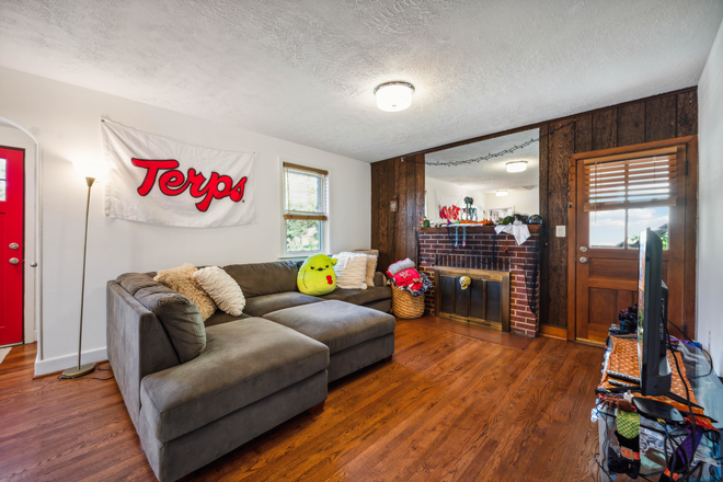 Living room - 8705 48th Ave - Walking distance to UMD and Lidl! House