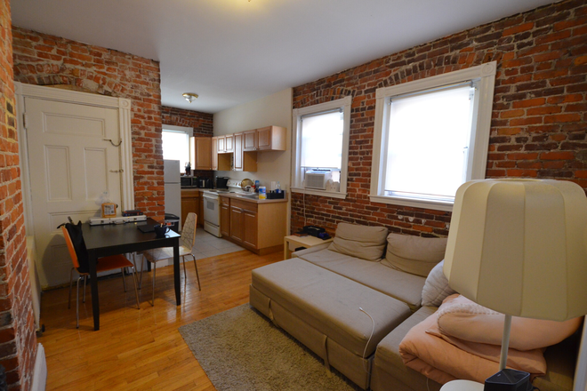 Living Room - Sunny 1 Bed Near NEU w/ Exposed Brick Landlord Pays 50% Agent Fee: Half Month Security Deposit Apartments