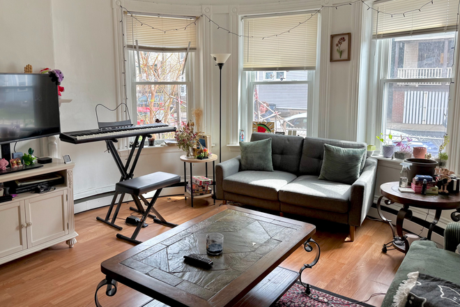Living room - Beautiful Mission Hill Apartment! | No Broker's Fee!! | Summer Sublet & 2 Rooms Available for Fall