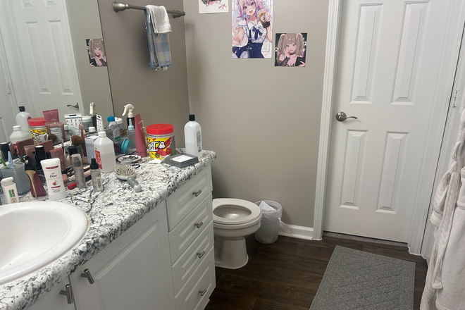 Bathroom (door is a spacious closet) - MAA Briarcliff