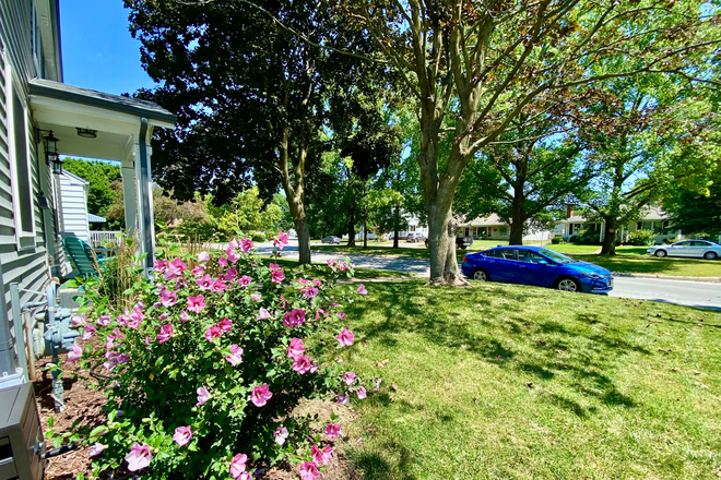 View toward El Prado Avenue - 1228 El Prado Ave House