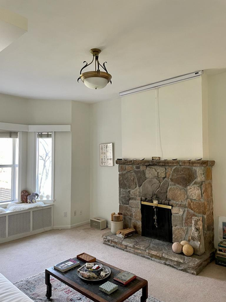 Living room, decorative only fireplace; dropdown screen above FP - Sunny 1Br full first floor, two entrances, eat-in kitchen, QUIET house, back garden, private ho