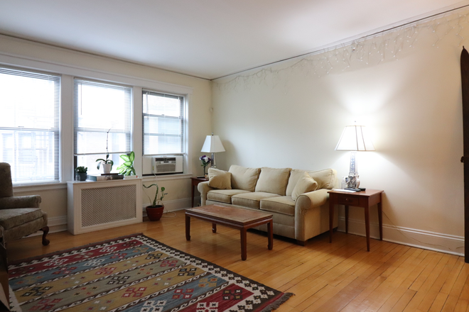 living room - Sunny and spacious Brookline 2 bed for 8/1 - NO FEE! Apartments