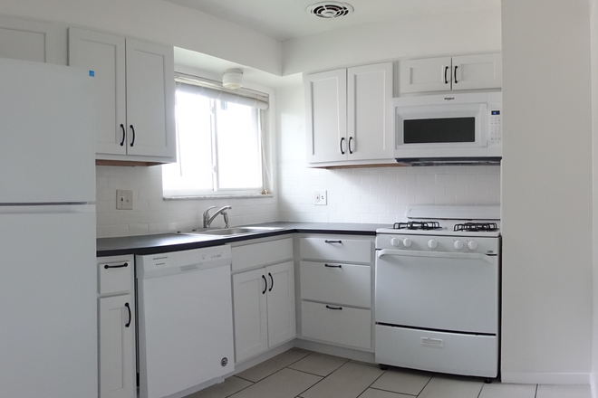 renovated kitchen with granite countertops, microwave and dishwasher - THE CLOSEST APARTMENT TO WASH U CAMPUS