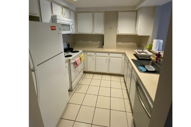 kitchen - 2 beds, 2 baths on Comm Ave ~~ Hardwood floor ~~ Condo