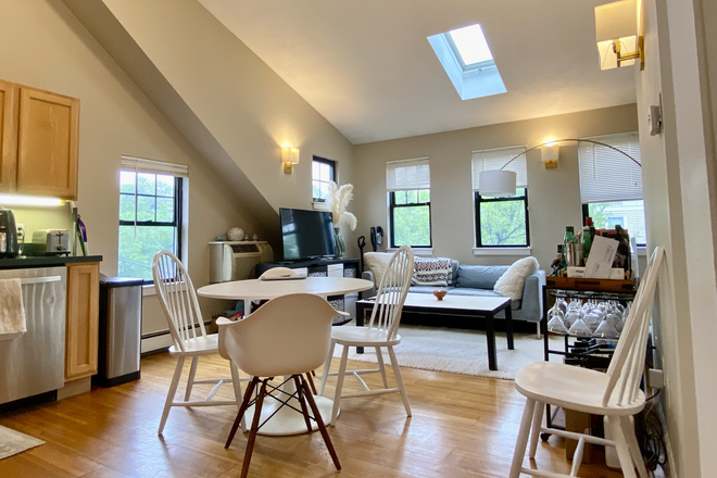 Living Room - Sunny 3 Bed 2 Bath in Cambridgeport!! W/D in unit! Apartments