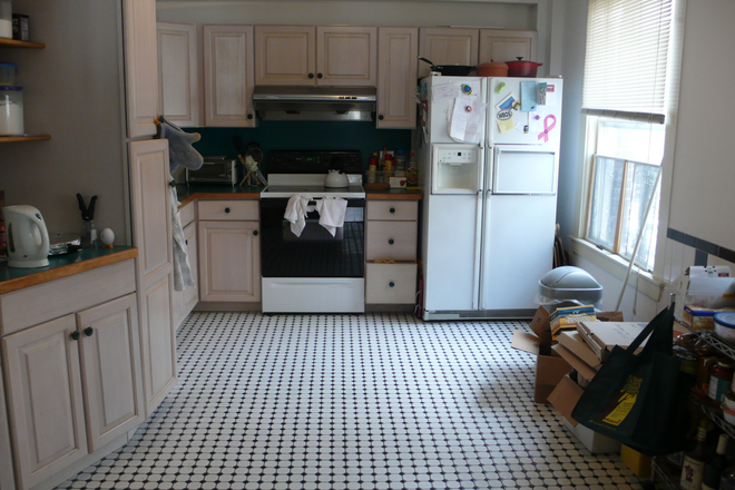 2 - Spacious furnished (or unfurnished) 4 bed near Harvard law school Condo