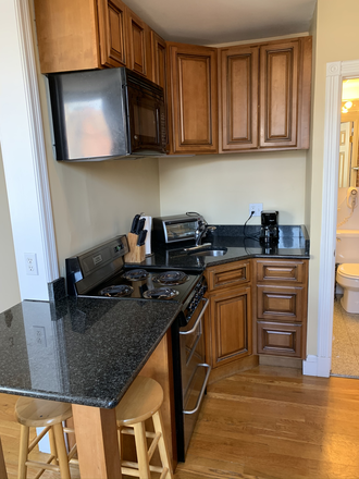 Hub Realty - In the heart of Back Bay, large studio with newly updated kitchen and decorative fireplace Apartments