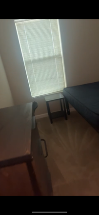 Bedroom Window - The Standard at Knoxville Apartments