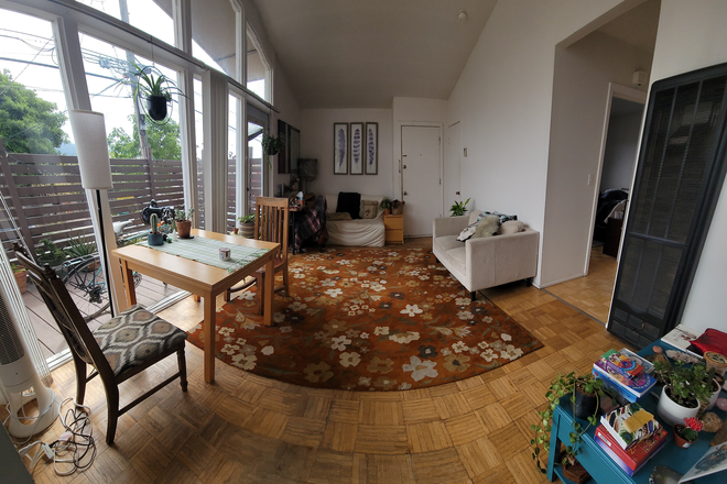 Living room - Charming & Cozy Apartment, Prime Location Near Solano Shops, Albany Hill, & Albany Bulb!