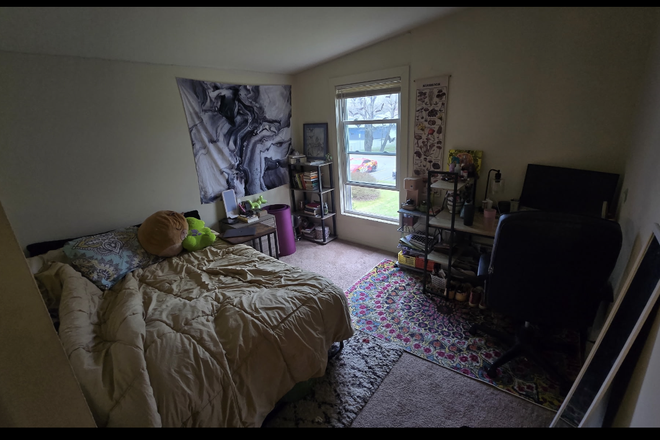 bedroom with bathroom attached(not shown) - Puffton single bed and bath spring sublet