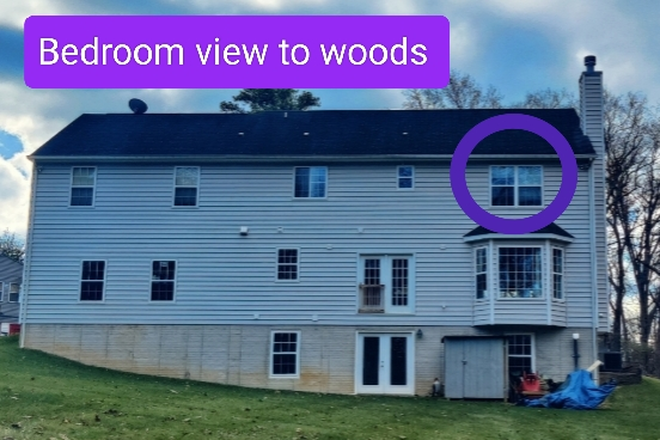 Back of house - Basement apartment in a Clean, Quiet house