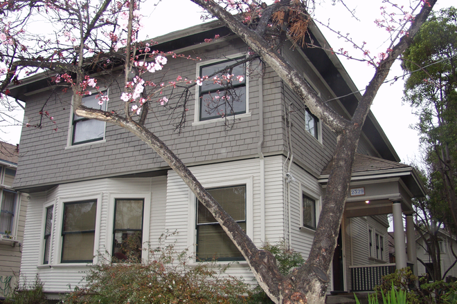 Front Exterior - Beautiful Berkeley Elmwood/S.Campus  5++BR Furnished home for rent 12/21/24-6/30/25