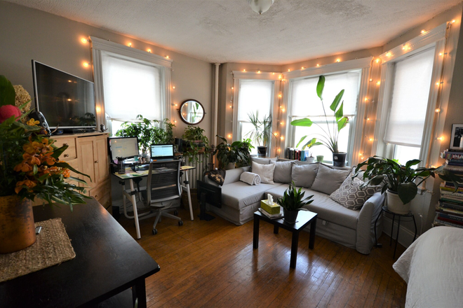 Living area - Avail 9/1 - Huge & Sunny alcove studio on Peterborough St! Apartments