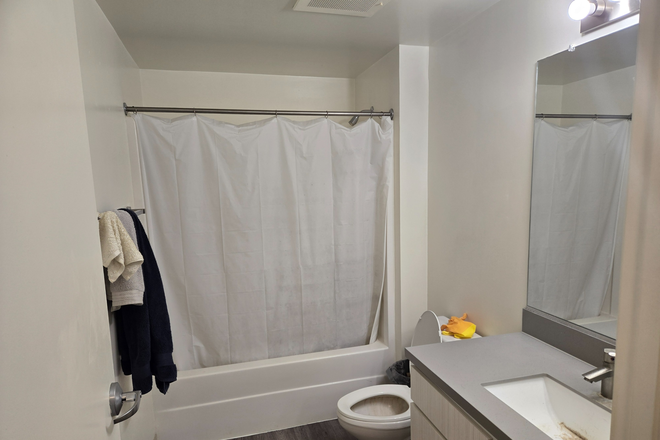 Bathroom - University View Apartment