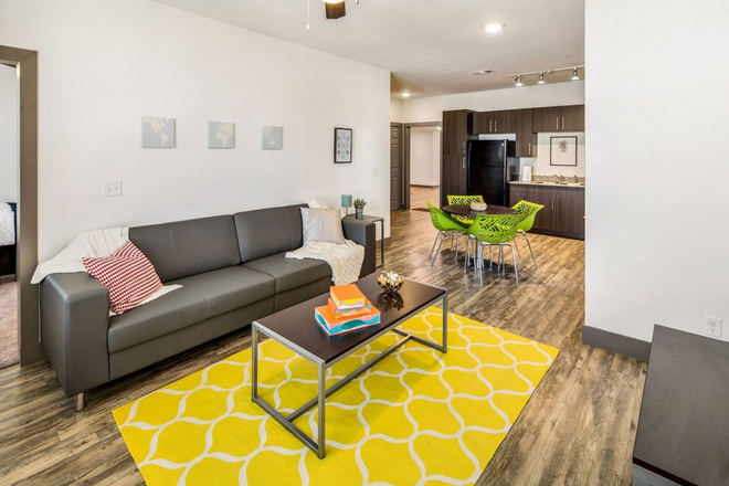 Common Living Space - Holleman Crossing Apartments