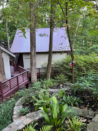 Exterior - Airy, spacious house near Duke, 2 big parks, green path, Farmer's market, &  downtown