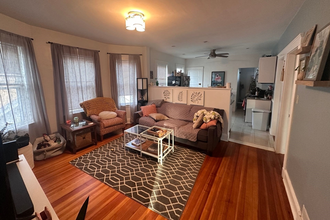 Living Room - Updated 3 bedroom with parking near UMass!  Low Move In Fees! Available September 1. Apartments