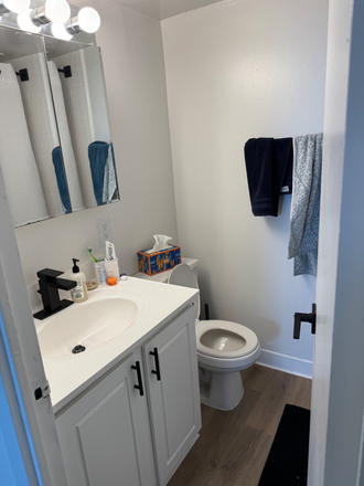 Bathroon - Renew Mnt Vernon Apartments